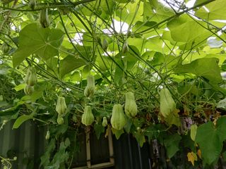 김형일님의 자유주제 · 자유게시판 작성글 사진