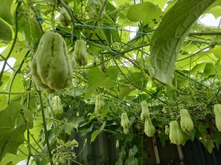 김형일님의 자유주제 · 자유게시판 작성글 사진