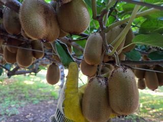 노고단님의 자유주제 · 자유게시판 작성글 사진