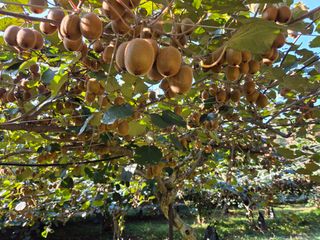 노고단님의 자유주제 · 자유게시판 작성글 사진