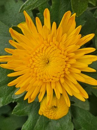 양철주님의 자유주제 · 자유게시판 작성글 사진