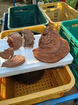 팜모닝 자유주제·건의해요 게시글 이미지