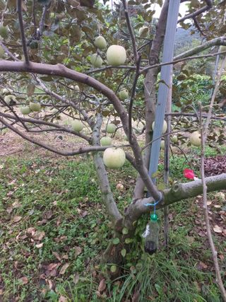 심무재 님의 자유주제 · 자유게시판 작성글 사진