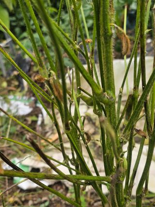 farmer님의 자유주제 · 자유게시판 작성글 사진