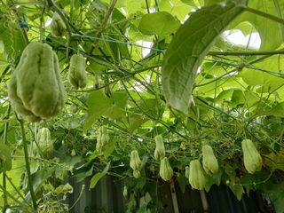 김형일님의 자유주제 · 자유게시판 작성글 사진