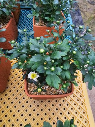 양철주님의 자유주제 · 자유게시판 작성글 사진