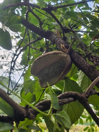 farmer님의 자유주제 · 자유게시판 작성글 사진