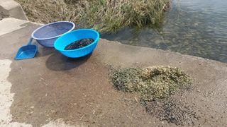 이창신님의 자유주제 · 자유게시판 작성글 사진