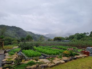 임용관님의 자유주제 · 자유게시판 작성글 사진