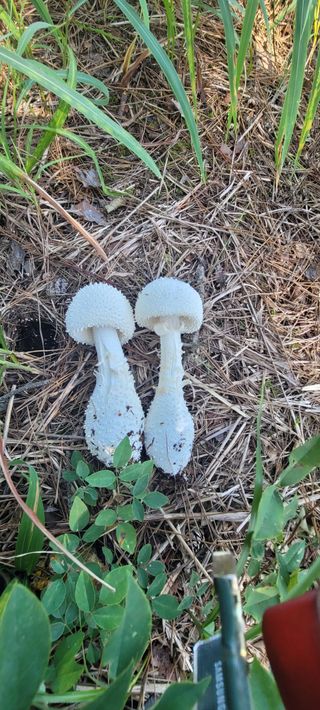 서녕영더기님의 자유주제 · 자유게시판 작성글 사진