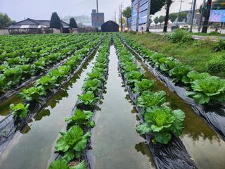 손정아님의 자유주제 · 자유게시판 작성글 사진