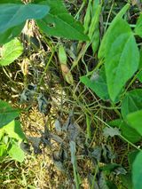 팜모닝 자유주제·자유게시판 게시글 이미지