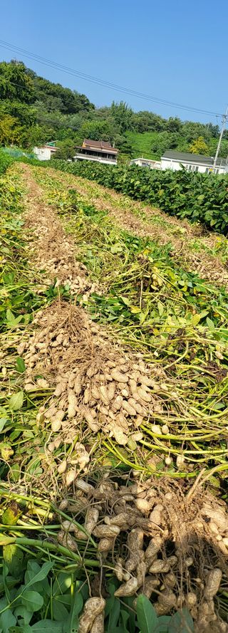 전자현님의 자유주제 · 자유게시판 작성글 사진
