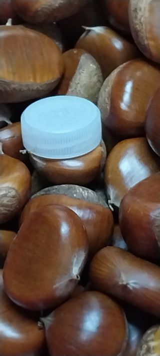 아로대추님의 작성글 사진