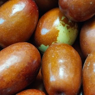 아로대추님의 작성글 사진