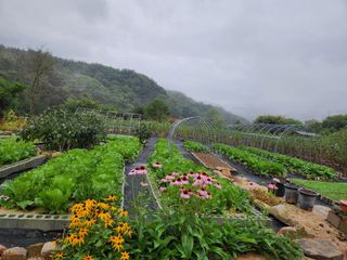 임용관님의 자유주제 · 자유게시판 작성글 사진