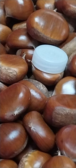 아로대추님의 작성글 사진