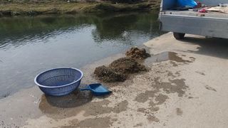 이창신님의 자유주제 · 자유게시판 작성글 사진