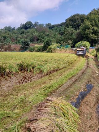 정금천님의 자유주제 · 자유게시판 작성글 사진