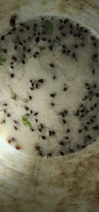 안뜰그랑님의 자유주제 · 자유게시판 작성글 사진