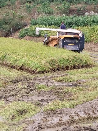 정금천님의 자유주제 · 자유게시판 작성글 사진
