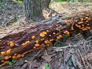 허투루님의 자유주제 · 자유게시판 작성글 사진