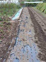 팜모닝 · 게시글 이미지