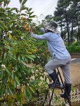 팜모닝 자유주제·자유게시판 게시글 이미지
