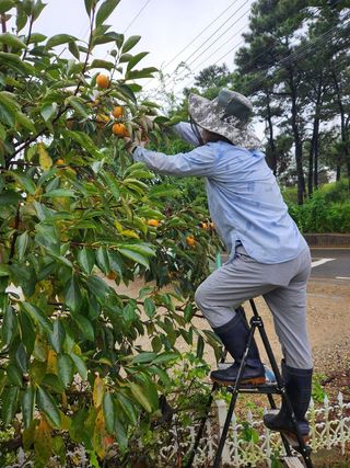 장석오님의 자유주제 · 자유게시판 작성글 사진