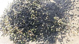 이창신님의 자유주제 · 자유게시판 작성글 사진