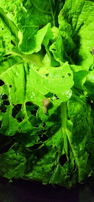 안뜰그랑님의 자유주제 · 자유게시판 작성글 사진