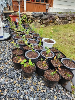 임용관님의 자유주제 · 자유게시판 작성글 사진