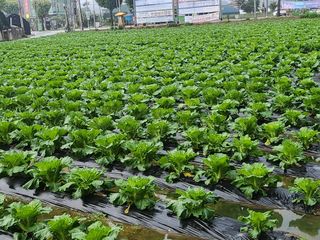 손정아님의 자유주제 · 자유게시판 작성글 사진