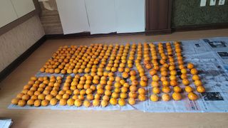 장석오님의 자유주제 · 자유게시판 작성글 사진