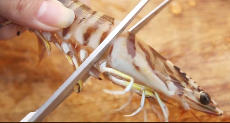 김진국님의 장터 판매 상품 [살아서 도착하는 당일조업 완도 활 보리새우 생 오도리 활새우 회 생새우 10마리] 첨부 사진