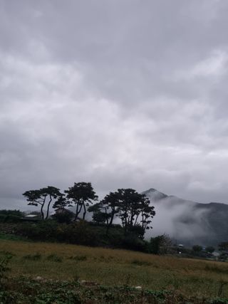 임용관님의 자유주제 · 자유게시판 작성글 사진