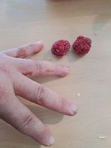 팜모닝 농사, 무엇이든 물어보세요!·참여글 게시글 이미지