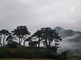 임용관님의 자유주제 · 자유게시판 작성글 사진