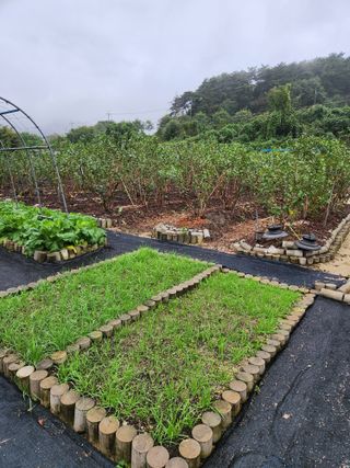 임용관님의 자유주제 · 자유게시판 작성글 사진