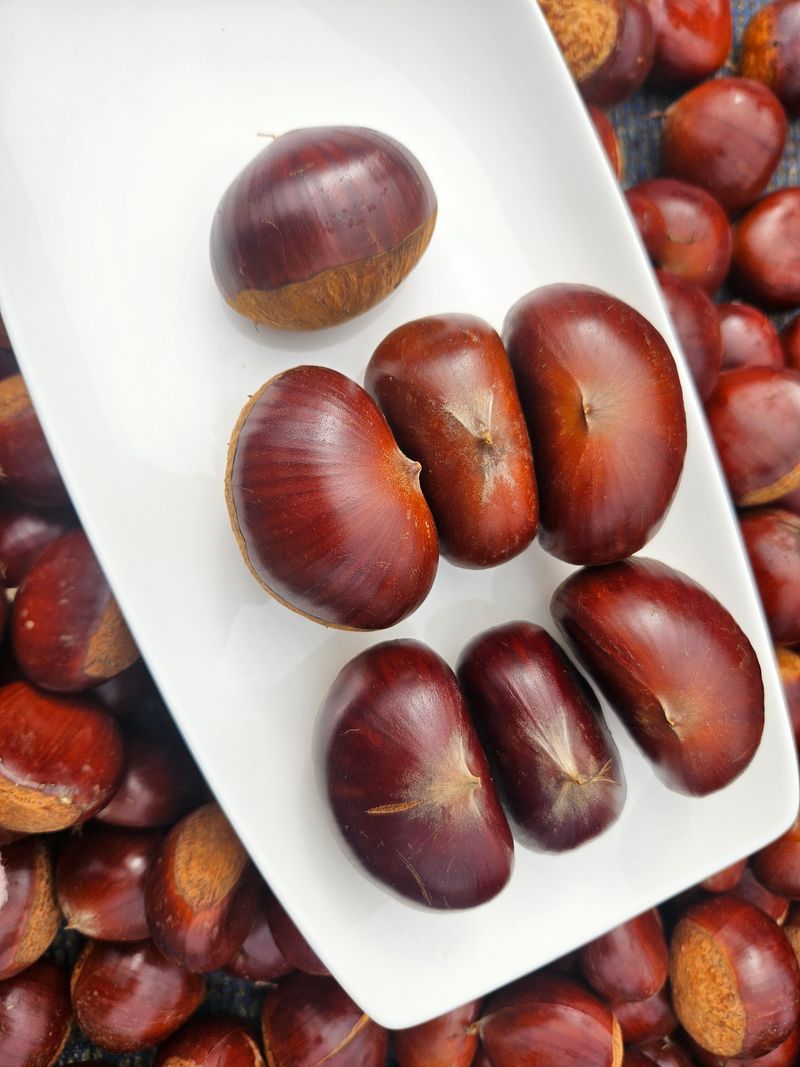 정택희님의 장터 판매 상품 [공주 정안 밤] 첨부 사진