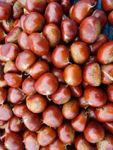 팜모닝 · 게시글 이미지