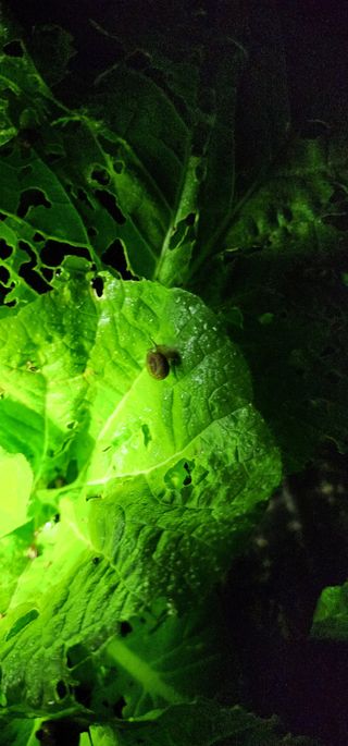 안뜰그랑님의 자유주제 · 자유게시판 작성글 사진