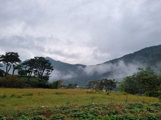 임용관님의 자유주제 · 자유게시판 작성글 사진