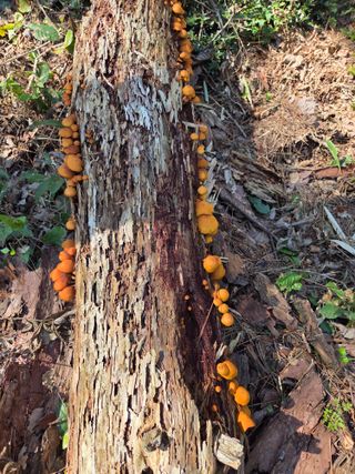 허투루님의 자유주제 · 자유게시판 작성글 사진