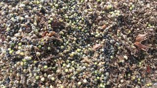 이창신님의 자유주제 · 자유게시판 작성글 사진