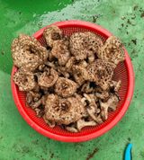 팜모닝 자유주제·자유게시판 게시글 이미지