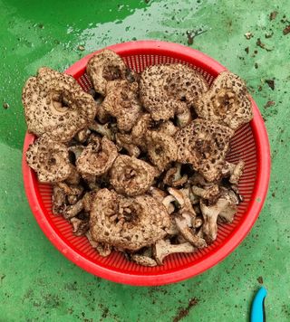 김길수님의 자유주제 · 자유게시판 작성글 사진