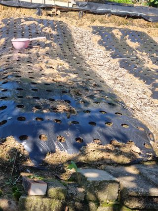 김선두님의 자유주제 · 자유게시판 작성글 사진