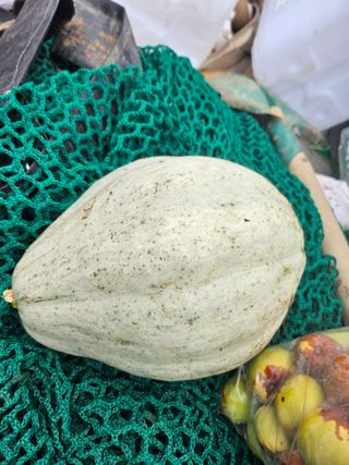 김강호님의 자유주제 · 자유게시판 작성글 사진