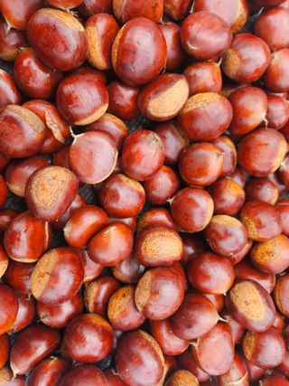 정택희님의 작성글 사진